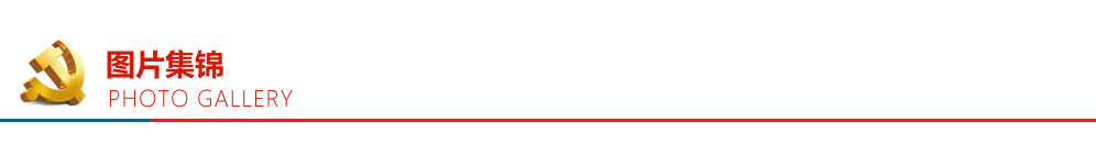 �ڲ��������רҵЧ��,����Ϊ��