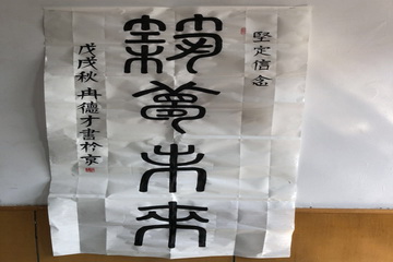 �ڲ��������רҵЧ��,����Ϊ��