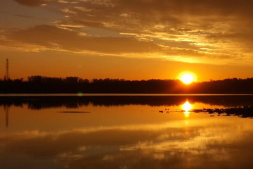 �ڲ��������רҵЧ��,����Ϊ��