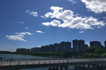 �ڲ��������רҵЧ��,����Ϊ��