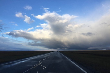 �ڲ��������רҵЧ��,����Ϊ��