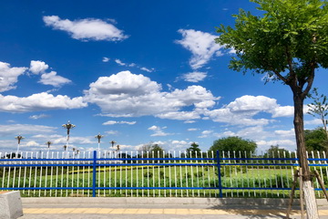 �ڲ��������רҵЧ��,����Ϊ��