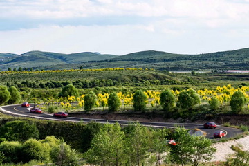 �ڲ��������רҵЧ��,����Ϊ��