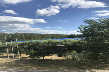 �ڲ��������רҵЧ��,����Ϊ��