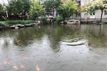 �ڲ��������רҵЧ��,����Ϊ��