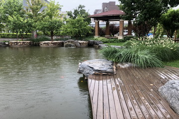 �ڲ��������רҵЧ��,����Ϊ��