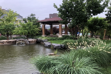 �ڲ��������רҵЧ��,����Ϊ��