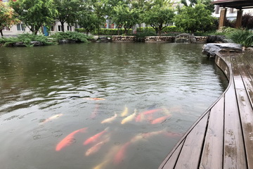 �ڲ��������רҵЧ��,����Ϊ��