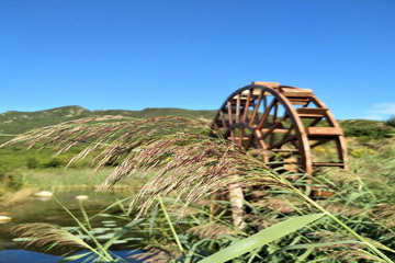 �ڲ��������רҵЧ��,����Ϊ��