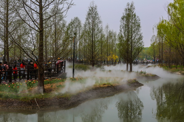 �ڲ��������רҵЧ��,����Ϊ��