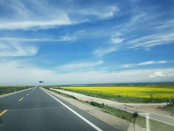 �ڲ��������רҵЧ��,����Ϊ��