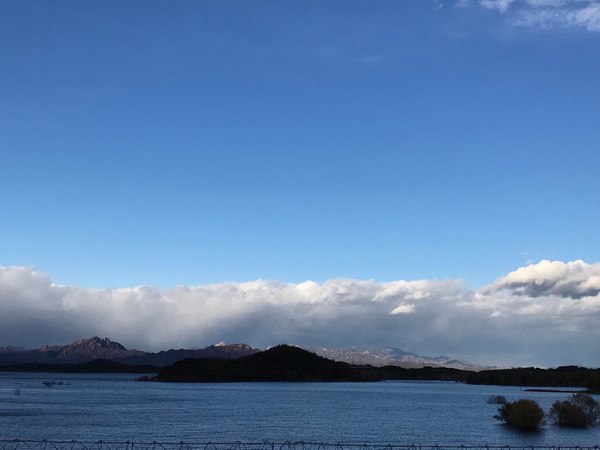 �ڲ��������רҵЧ��,����Ϊ��