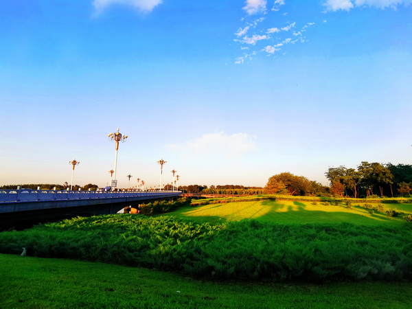 �ڲ��������רҵЧ��,����Ϊ��