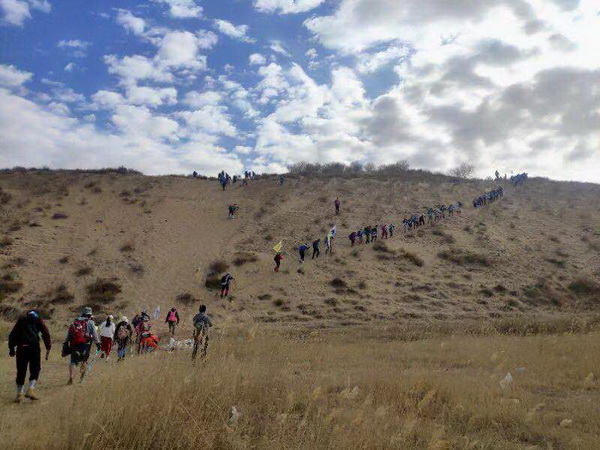 �ڲ��������רҵЧ��,����Ϊ��