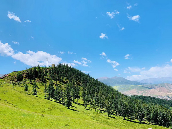 �ڲ��������רҵЧ��,����Ϊ��