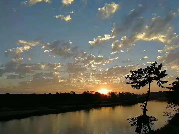 �ڲ��������רҵЧ��,����Ϊ��