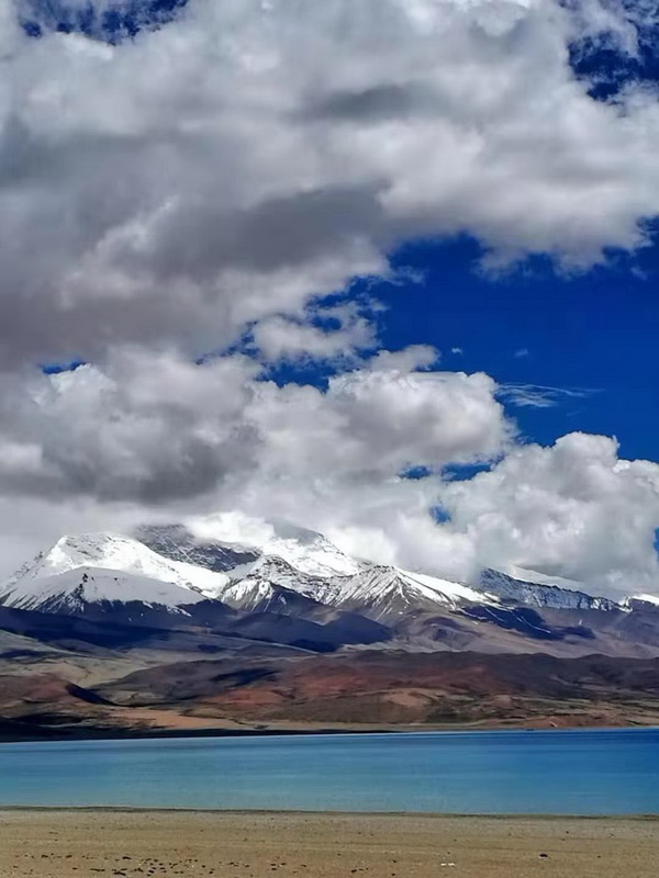 �ڲ��������רҵЧ��,����Ϊ��