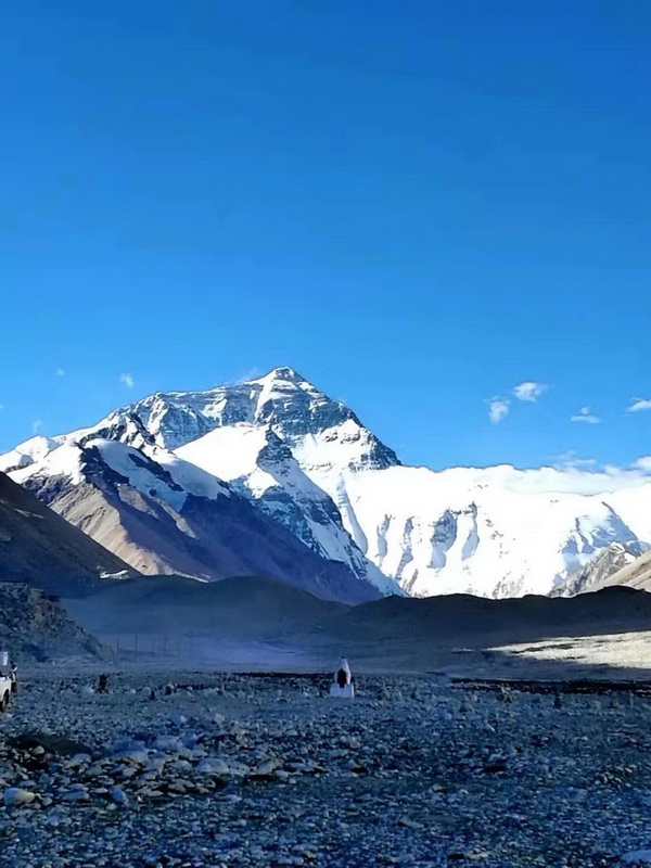 �ڲ��������רҵЧ��,����Ϊ��