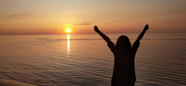 �ڲ��������רҵЧ��,����Ϊ��