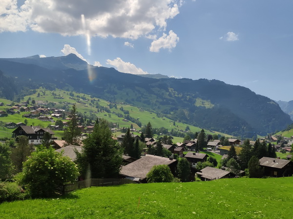 �ڲ��������רҵЧ��,����Ϊ��