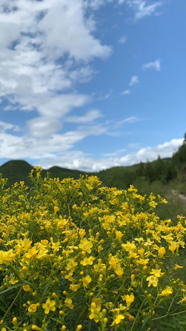 �ڲ��������רҵЧ��,����Ϊ��