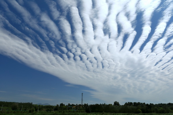 �ڲ��������רҵЧ��,����Ϊ��