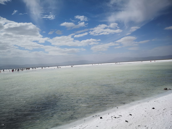 �ڲ��������רҵЧ��,����Ϊ��