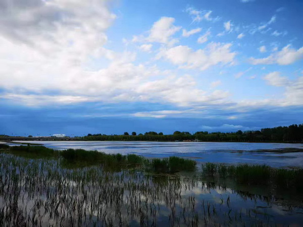 �ڲ��������רҵЧ��,����Ϊ��