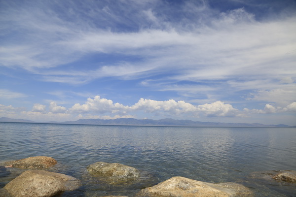 �ڲ��������רҵЧ��,����Ϊ��