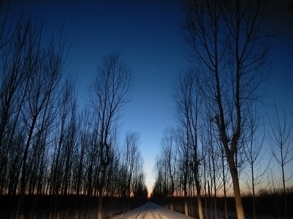 �ڲ��������רҵЧ��,����Ϊ��