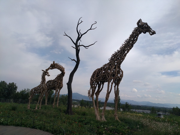 �ڲ��������רҵЧ��,����Ϊ��