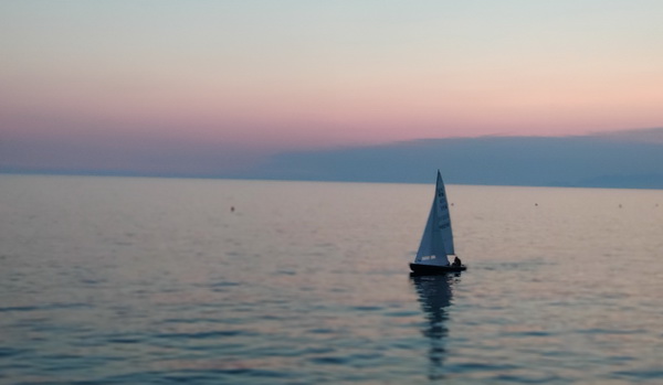 �ڲ��������רҵЧ��,����Ϊ��