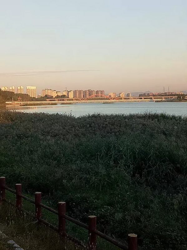 �ڲ��������רҵЧ��,����Ϊ��