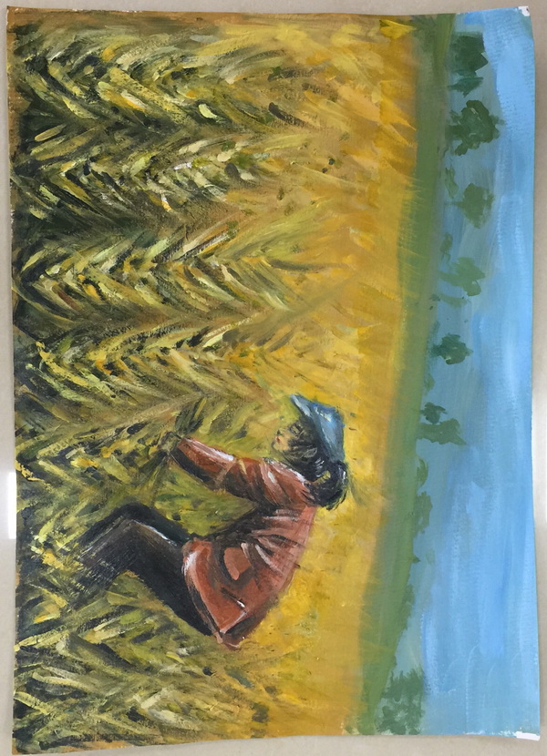 �ڲ��������רҵЧ��,����Ϊ��