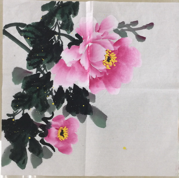 �ڲ��������רҵЧ��,����Ϊ��