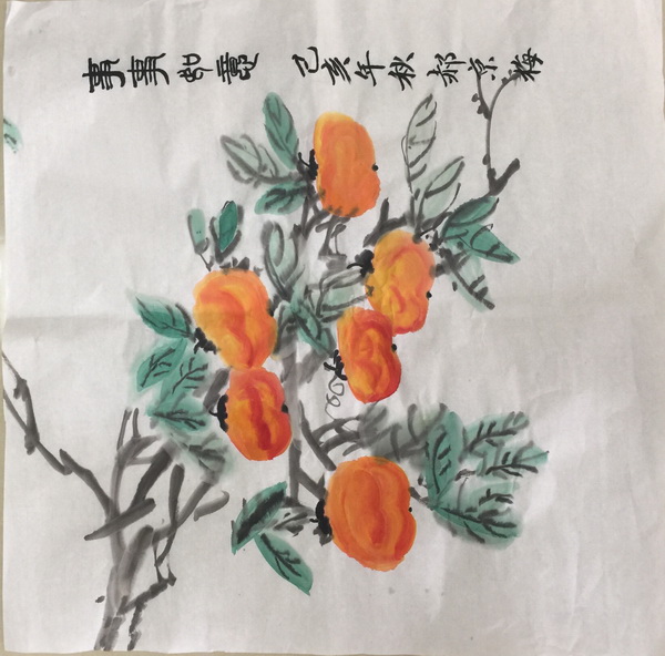 �ڲ��������רҵЧ��,����Ϊ��