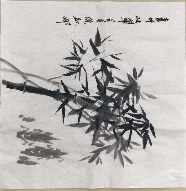 �ڲ��������רҵЧ��,����Ϊ��