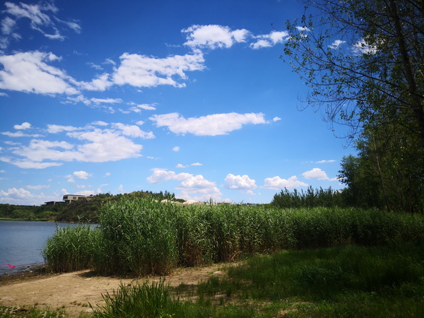 �ڲ��������רҵЧ��,����Ϊ��