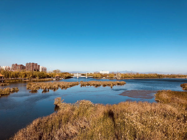 �ڲ��������רҵЧ��,����Ϊ��