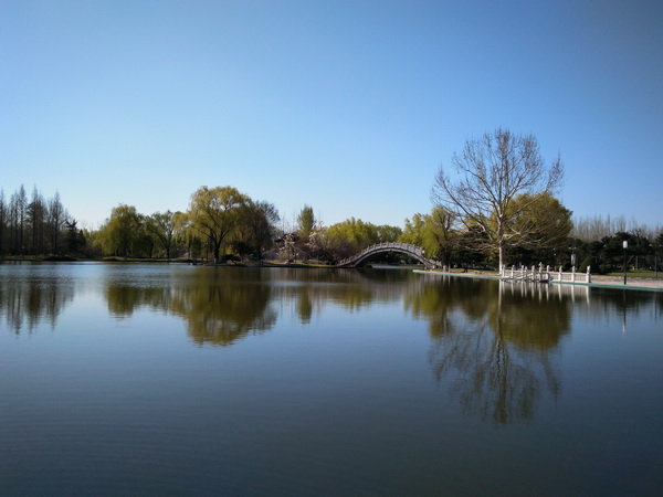 �ڲ��������רҵЧ��,����Ϊ��