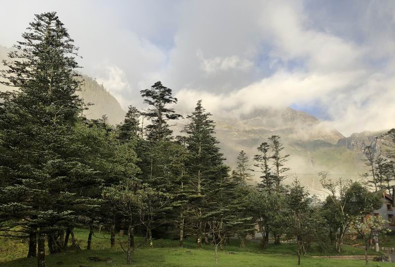 �ڲ��������רҵЧ��,����Ϊ��