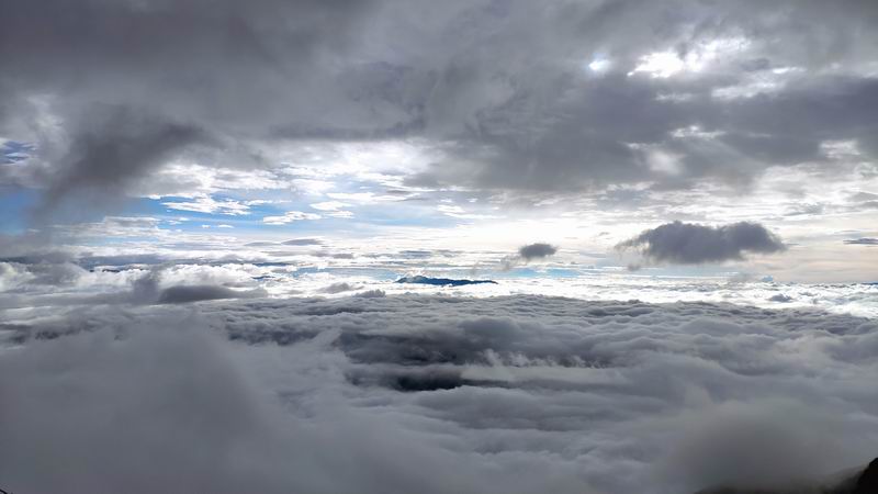 �ڲ��������רҵЧ��,����Ϊ��