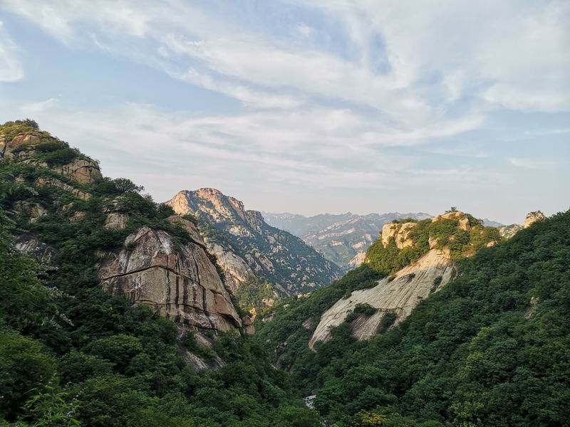 �ڲ��������רҵЧ��,����Ϊ��