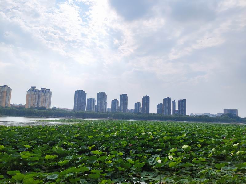 �ڲ��������רҵЧ��,����Ϊ��