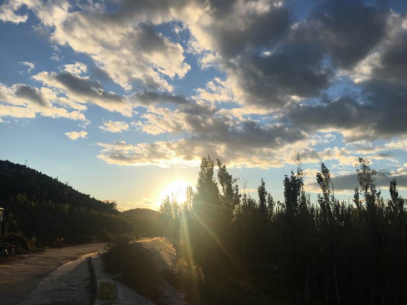 �ڲ��������רҵЧ��,����Ϊ��