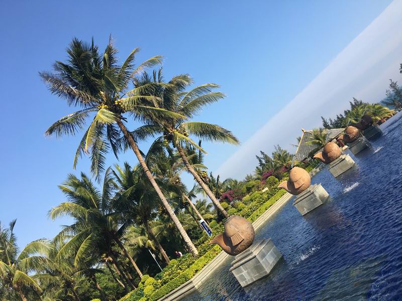 �ڲ��������רҵЧ��,����Ϊ��