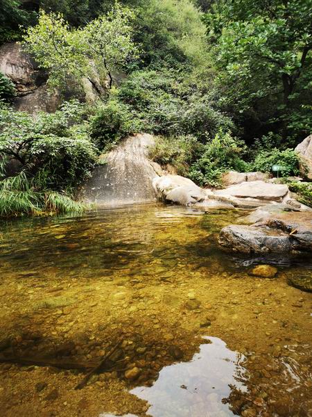 �ڲ��������רҵЧ��,����Ϊ��