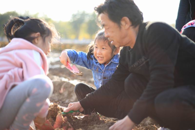 �ڲ��������רҵЧ��,����Ϊ��