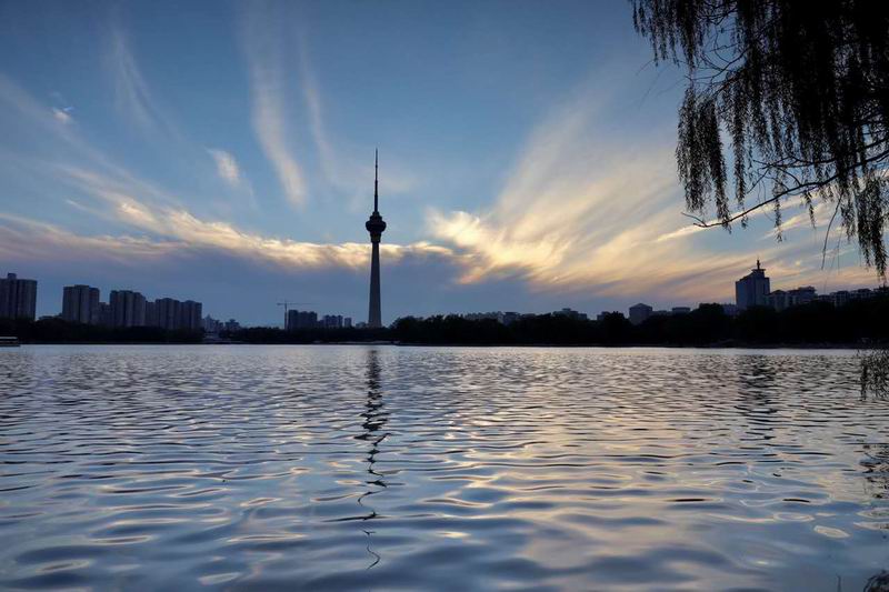 �ڲ��������רҵЧ��,����Ϊ��