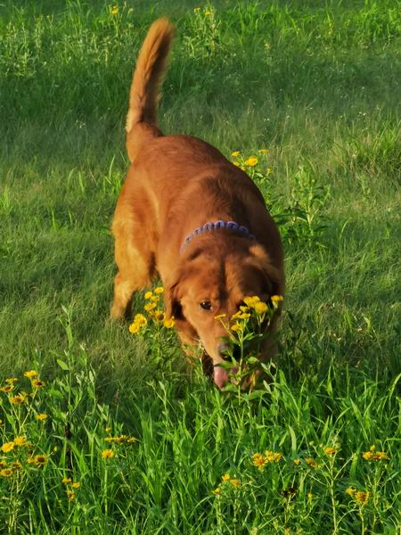 �ڲ��������רҵЧ��,����Ϊ��